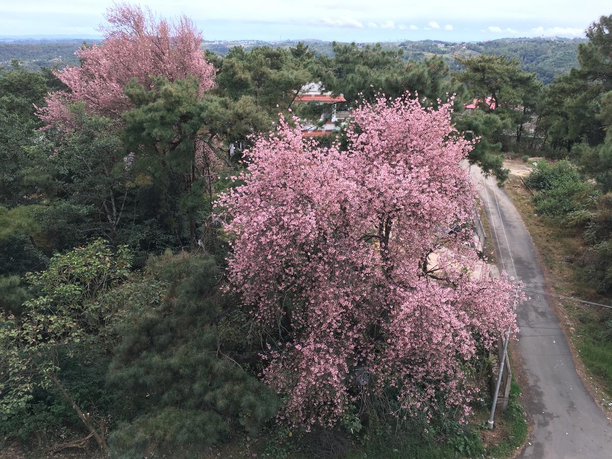 Orange Homestay 실롱 외부 사진