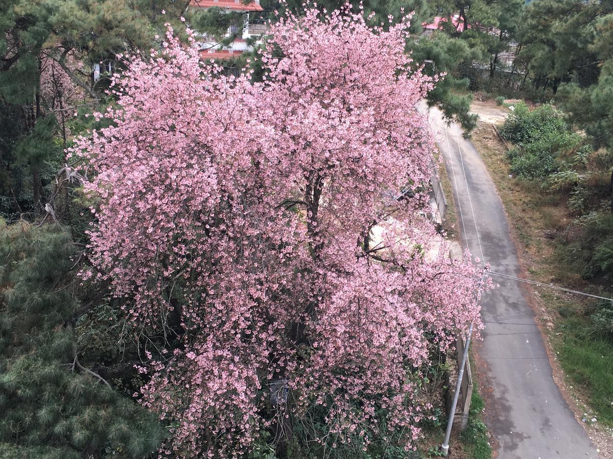 Orange Homestay 실롱 외부 사진