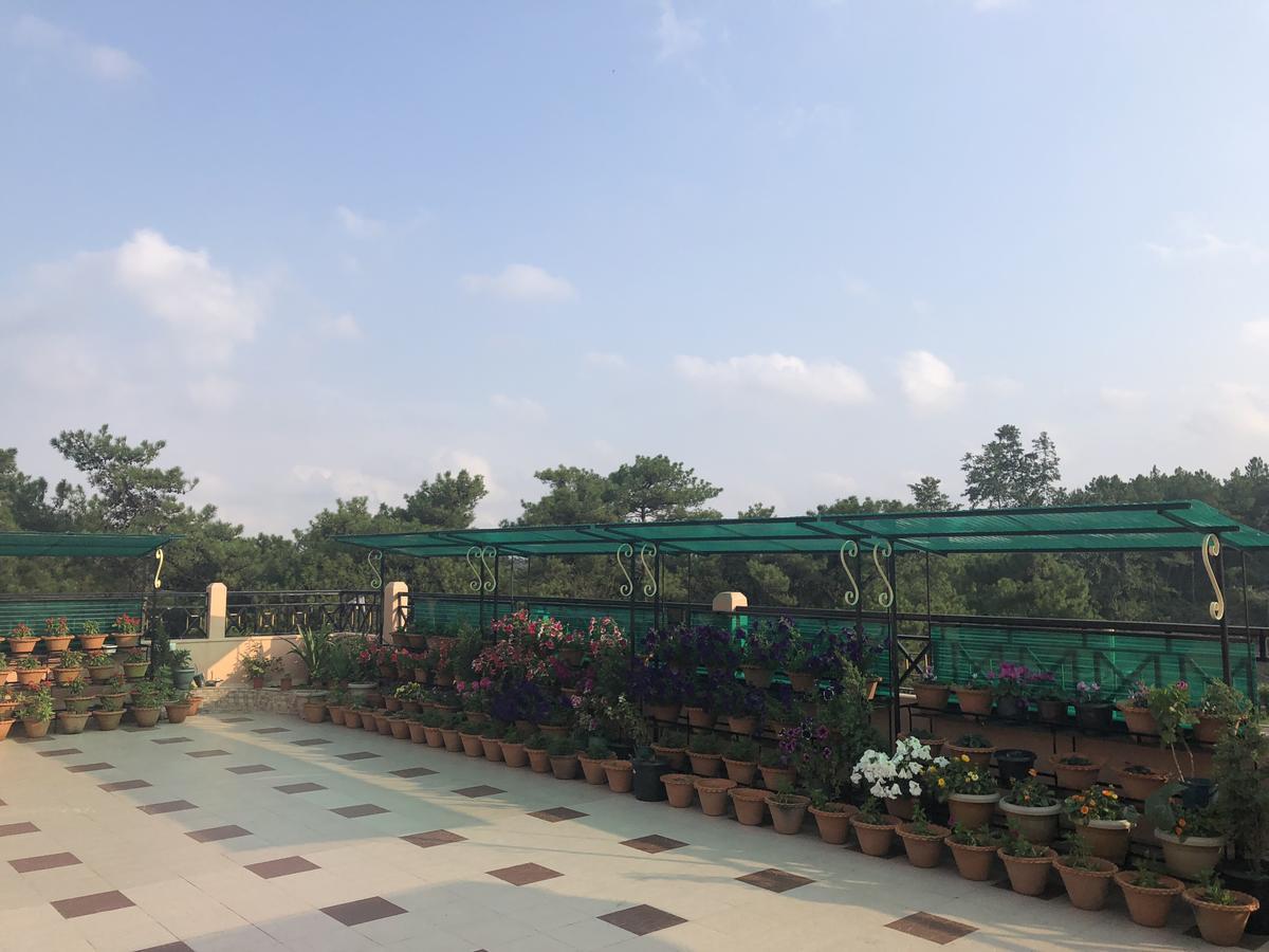 Orange Homestay 실롱 외부 사진
